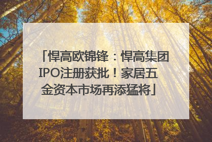 悍高欧锦锋：悍高集团IPO注册获批！家居五金资本市场再添猛将