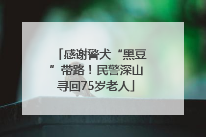感谢警犬“黑豆”带路！民警深山寻回75岁老人