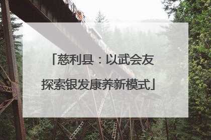 慈利县：以武会友 探索银发康养新模式