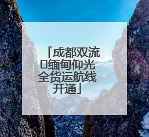 成都双流⇌缅甸仰光全货运航线开通