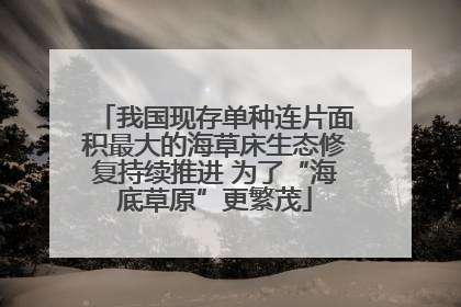 我国现存单种连片面积最大的海草床生态修复持续推进 为了“海底草原”更繁茂