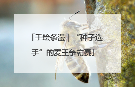手绘条漫｜“种子选手”的麦王争霸赛