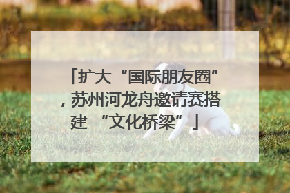 扩大“国际朋友圈”，苏州河龙舟邀请赛搭建 “文化桥梁”