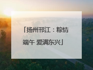 扬州邗江：粽情端午 爱满东兴