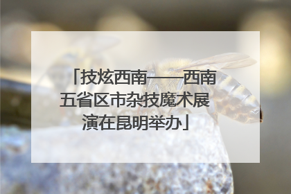 技炫西南——西南五省区市杂技魔术展演在昆明举办