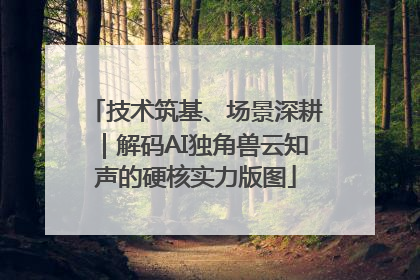 技术筑基、场景深耕｜解码AI独角兽云知声的硬核实力版图