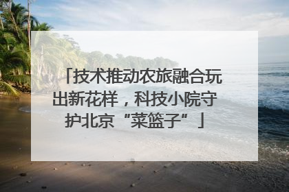 技术推动农旅融合玩出新花样，科技小院守护北京“菜篮子”