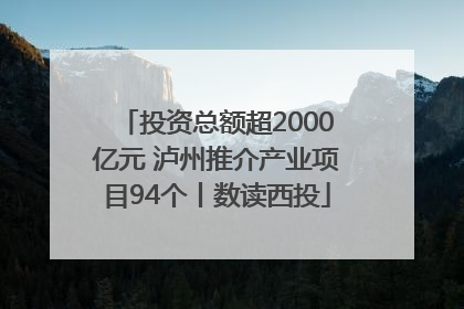 投资总额超2000亿元 泸州推介产业项目94个丨数读西投