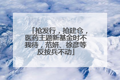抢发行，抢建仓，医药主题新基金时不我待，范妍、徐彦等反按兵不动