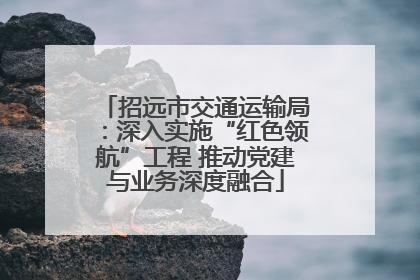 招远市交通运输局：深入实施“红色领航”工程 推动党建与业务深度融合