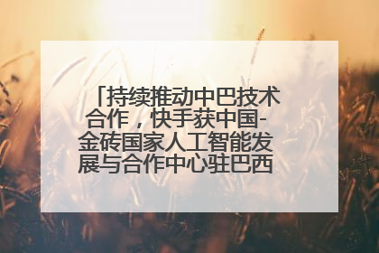 持续推动中巴技术合作，快手获中国-金砖国家人工智能发展与合作中心驻巴西成果转化中心授牌