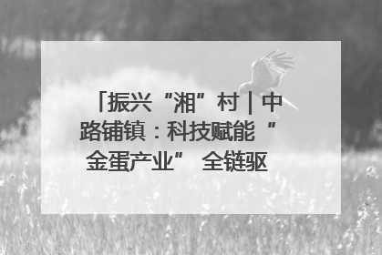 振兴“湘”村｜中路铺镇：科技赋能“金蛋产业” 全链驱动乡村振兴