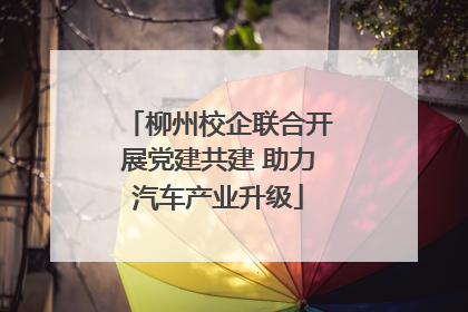 柳州校企联合开展党建共建 助力汽车产业升级