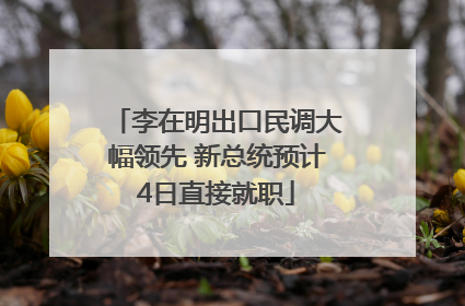 李在明出口民调大幅领先 新总统预计4日直接就职