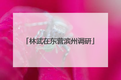 林武在东营滨州调研
