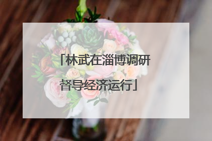 林武在淄博调研督导经济运行