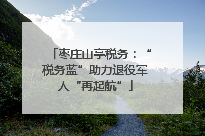 枣庄山亭税务：“税务蓝”助力退役军人“再起航”