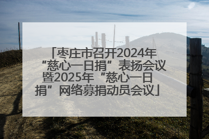 枣庄市召开2024年“慈心一日捐”表扬会议暨2025年“慈心一日捐”网络募捐动员会议