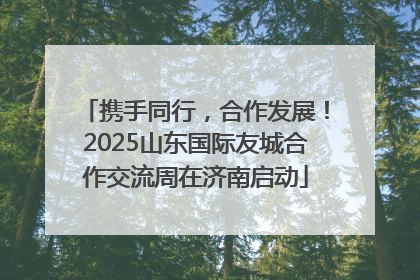 携手同行，合作发展！2025山东国际友城合作交流周在济南启动