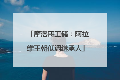 摩洛哥王储：阿拉维王朝低调继承人