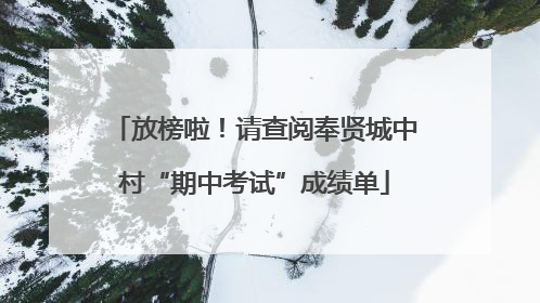 放榜啦！请查阅奉贤城中村“期中考试”成绩单