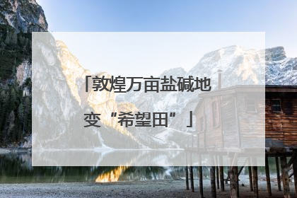 敦煌万亩盐碱地变“希望田”