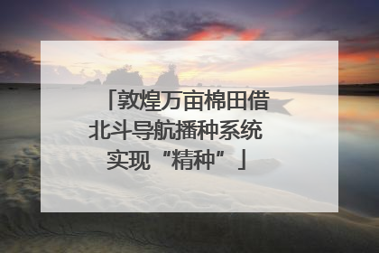 敦煌万亩棉田借北斗导航播种系统实现“精种”