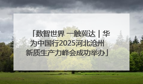 数智世界 一触冀达｜华为中国行2025河北沧州新质生产力峰会成功举办