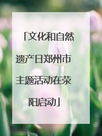 文化和自然遗产日郑州市主题活动在荥阳启动