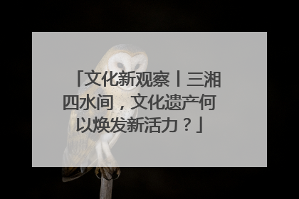 文化新观察丨三湘四水间，文化遗产何以焕发新活力？