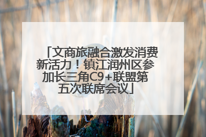 文商旅融合激发消费新活力！镇江润州区参加长三角C9+联盟第五次联席会议
