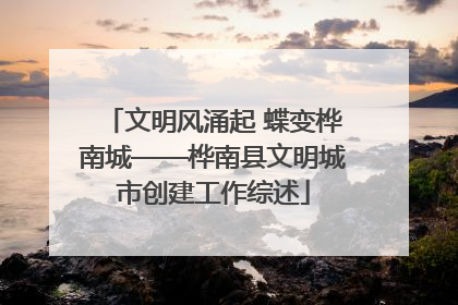 文明风涌起 蝶变桦南城——桦南县文明城市创建工作综述