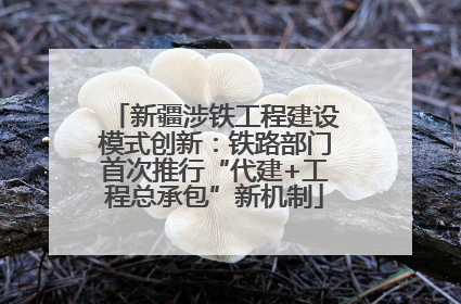新疆涉铁工程建设模式创新：铁路部门首次推行“代建+工程总承包”新机制