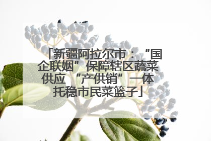 新疆阿拉尔市：“国企联姻”保障辖区蔬菜供应 “产供销”一体托稳市民菜篮子
