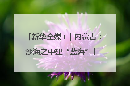 新华全媒+｜内蒙古：沙海之中建“蓝海”