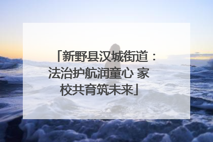 新野县汉城街道：法治护航润童心 家校共育筑未来