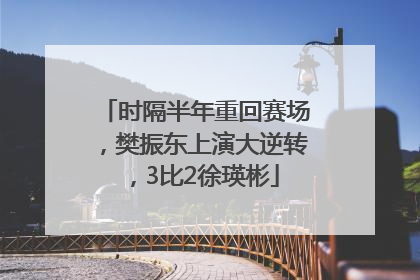 时隔半年重回赛场，樊振东上演大逆转，3比2徐瑛彬