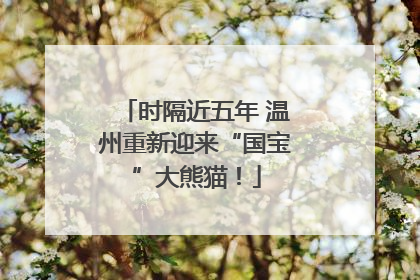 时隔近五年 温州重新迎来“国宝”大熊猫！