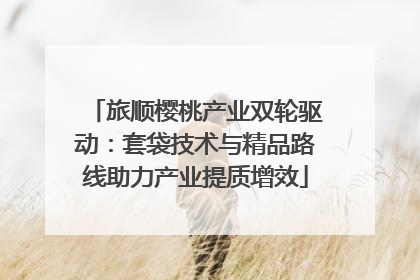 旅顺樱桃产业双轮驱动：套袋技术与精品路线助力产业提质增效