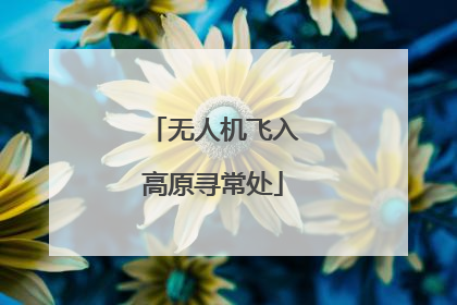 无人机飞入高原寻常处