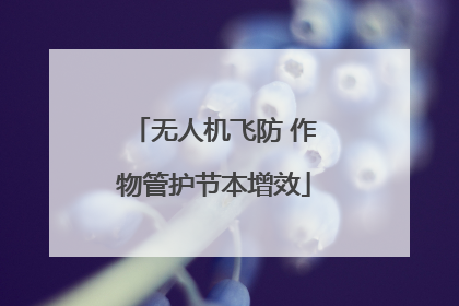 无人机飞防 作物管护节本增效