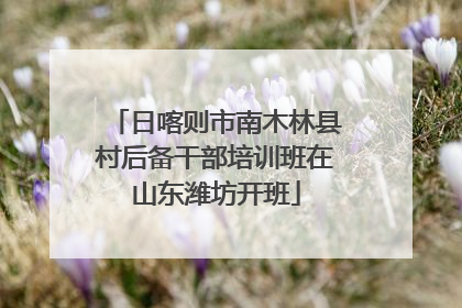 日喀则市南木林县村后备干部培训班在山东潍坊开班