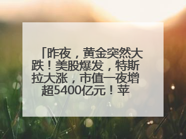 昨夜，黄金突然大跌！美股爆发，特斯拉大涨，市值一夜增超5400亿元！苹果传来大消息