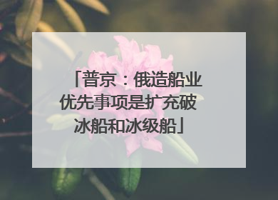 普京：俄造船业优先事项是扩充破冰船和冰级船