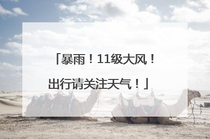 暴雨！11级大风！出行请关注天气！