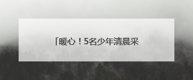 暖心！5名少年清晨采摘助北宅孤寡老人售杏，多方善意传递城市温情
