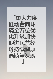 更大力度推动营商环境全方位优化升级加快促进民营经济持续健康高质量发展