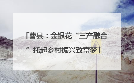 曹县：金银花“三产融合”托起乡村振兴致富梦