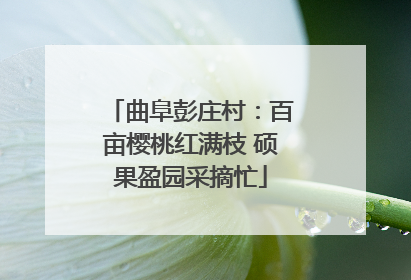 曲阜彭庄村：百亩樱桃红满枝 硕果盈园采摘忙