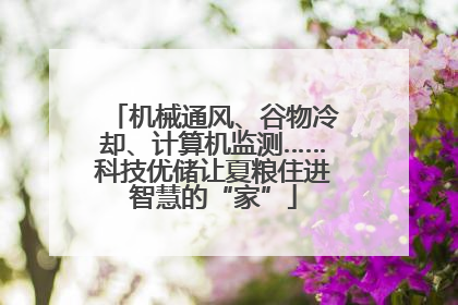 机械通风、谷物冷却、计算机监测……科技优储让夏粮住进智慧的“家”